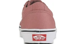 Vans Chaussures Sport^Chaussure De Planchiste Basse Ward Pour Femmes